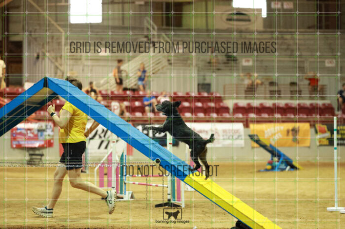 Jim_Brookhouser_Friday_MastersAgilityFinal_317_RR_3677