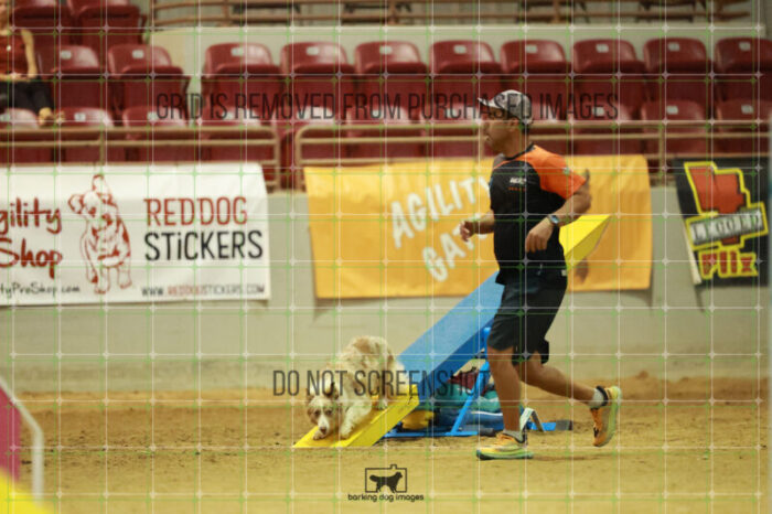 Jim_Luiz_Filho_Friday_MastersAgilityFinal_365_RR_5739