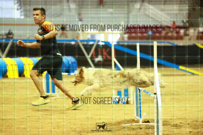Jim_Luiz_Filho_Ring_2_Saturday_OpenAgility_119_SH_0737