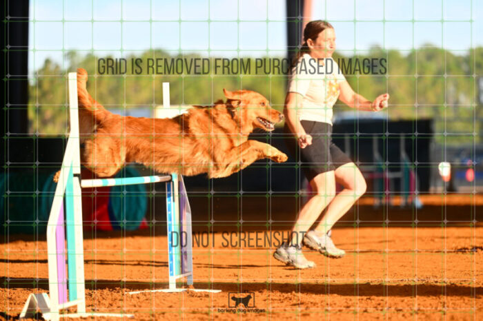 Kiko_Draheim_Friday_MastersJumpingFinal_128_LB_0809