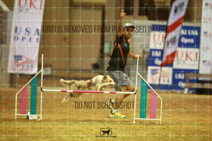 Jim_Luiz_Filho_WednesdayNight_Round_1_Agility_137_NH_1902
