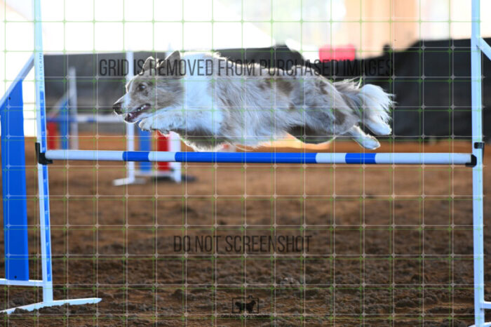 Jim_Luiz_Filho_Wednesday_Speedstakes_SemiFinal_197_KG_5587