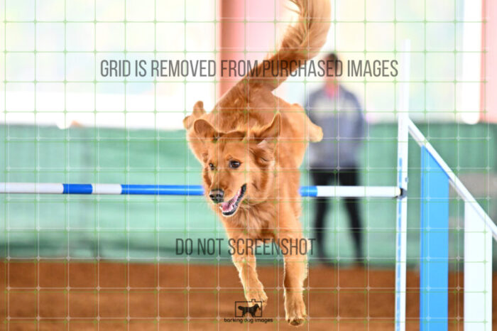 Kiko_Draheim_Friday_Round2Jumping_464_KG_2164