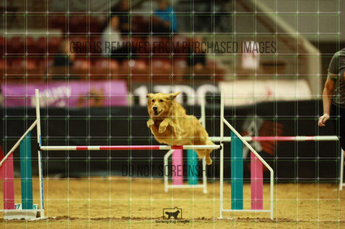 Kiko_Draheim_Ring_3_Wednesday_Speedstakes_Semi_Final_164_VW_2609