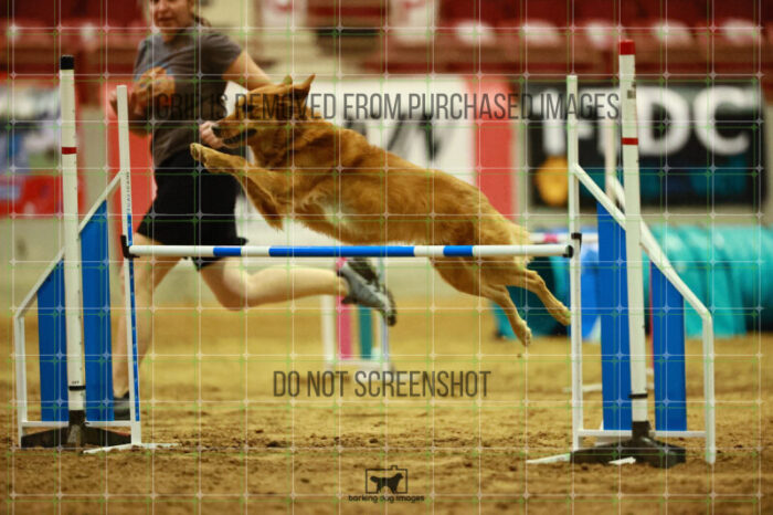 Kiko_Draheim_Ring_3_Wednesday_Speedstakes_Semi_Final_164_VW_2644