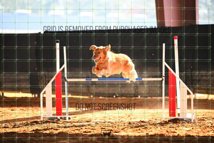 Kiko_Draheim_Saturday_WTAJumping_171_KG_9832