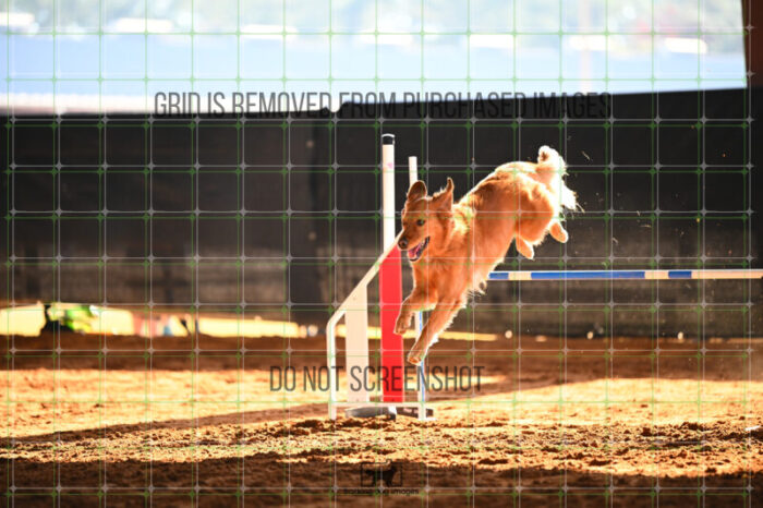 Kiko_Draheim_Saturday_WTAJumping_171_KG_9835
