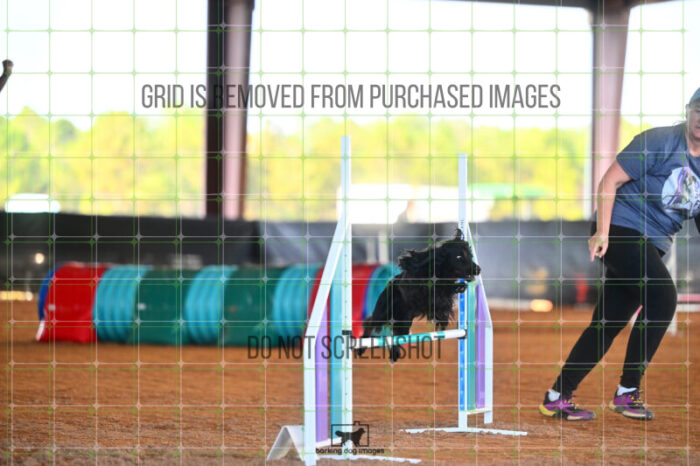 Loki_Schaff_Friday_MastersJumpingFinal_357_LB_7484