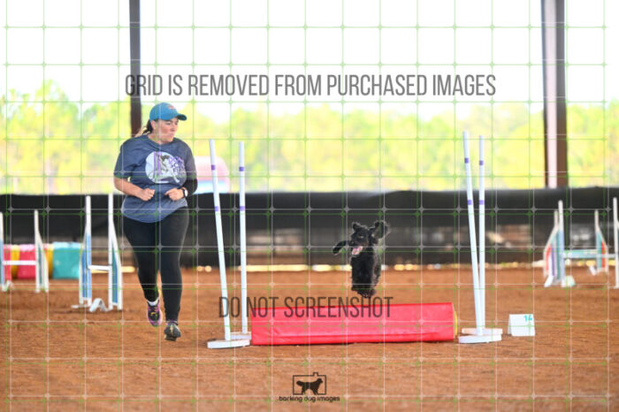 Loki_Schaff_Friday_MastersJumpingFinal_357_LB_7491