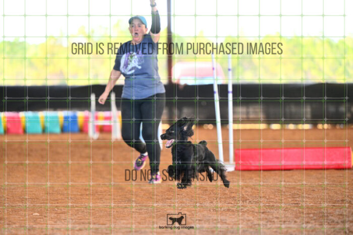 Loki_Schaff_Friday_MastersJumpingFinal_357_LB_7493