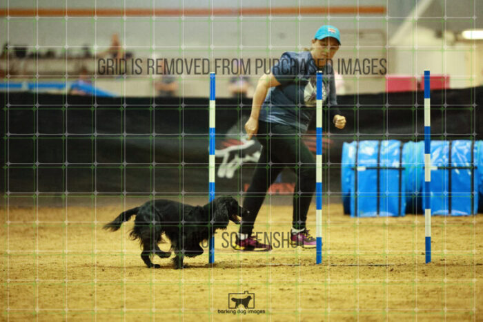 Loki_Schaff_Friday_Round2Jumping_127_SH_0918