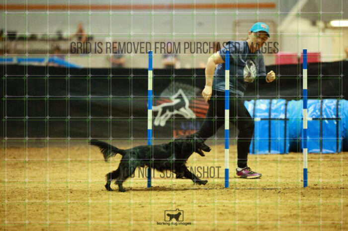 Loki_Schaff_Friday_Round2Jumping_127_SH_0920