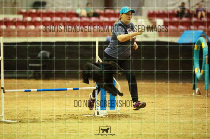 Loki_Schaff_Friday_Round2Jumping_127_SH_0931