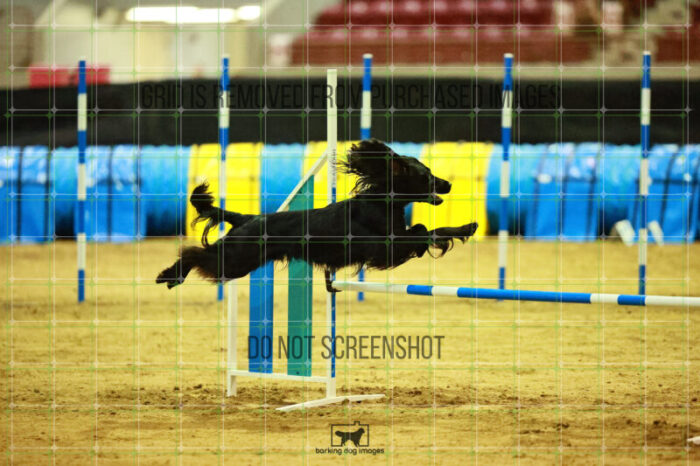 Loki_Schaff_Friday_Round2Jumping_127_SH_0934