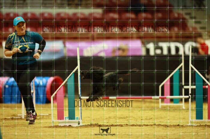 Loki_Schaff_Ring_3_Wednesday_Speedstakes_Semi_Final_118_VW_0842