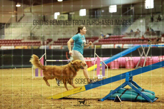 Kiko_Draheim_Thursday_Masters_Agility_Heat_141_RR_1665