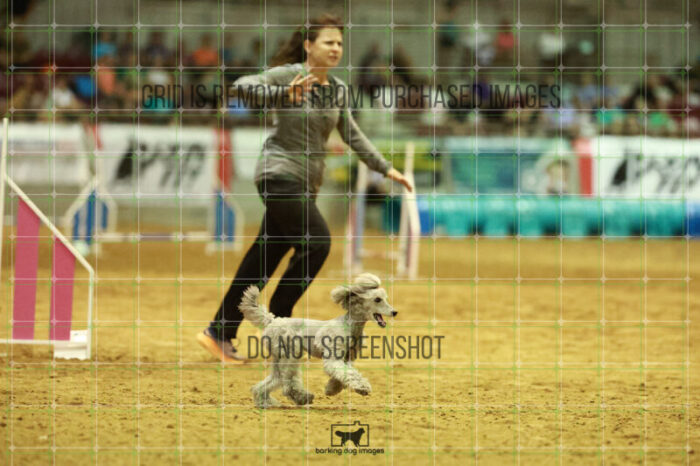 Phyllis_Diller_Ingersoll_Speedstakes_Finals_109_0246
