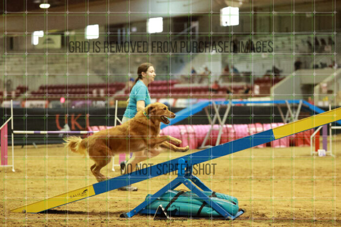 Kiko_Draheim_Thursday_Masters_Agility_Heat_141_RR_1668