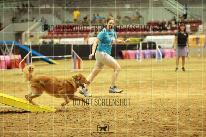 Kiko_Draheim_Thursday_Masters_Agility_Heat_141_RR_1675