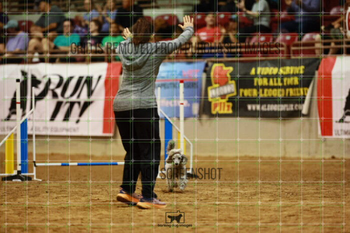 Phyllis_Diller_Ingersoll_Thursday_Speedstakes_Finals_107_VW_0622