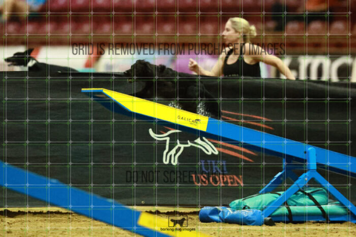 Loki_Schaff_Saturday_OpenAgility_189_KO_4587