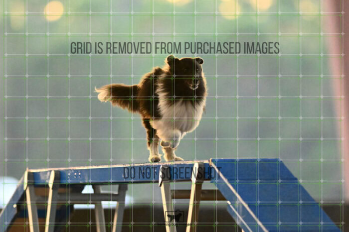 KG_2511191712599427
