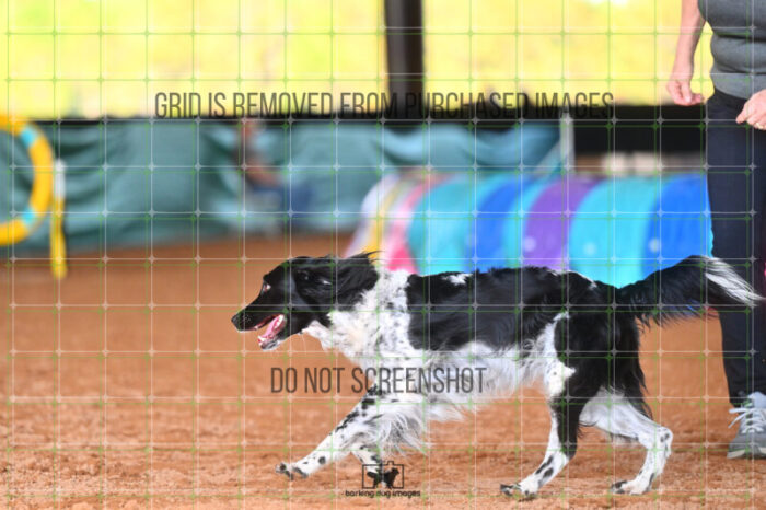 Pika_Mcelligott_Friday_MastersJumpingFinal_191_LB_2605