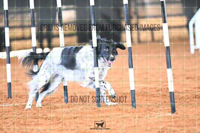 Pika_Mcelligott_Saturday_WTAJumping_210_KG_2807