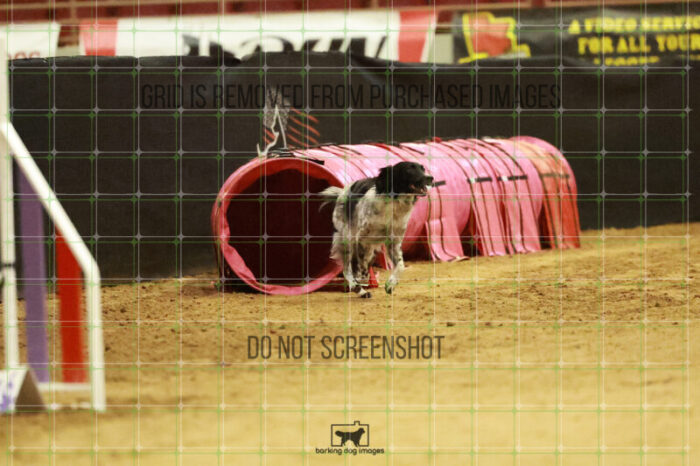 Pika_Mcelligott_Wednesday_Speedstakes_Semi_Final_168_RR_2576
