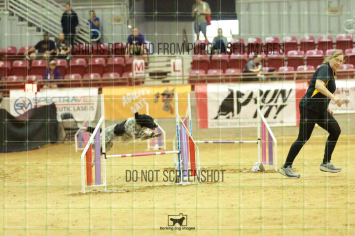 Pika_Mcelligott_Wednesday_Speedstakes_Semi_Final_168_RR_2583