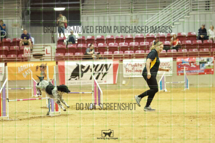 Pika_Mcelligott_Wednesday_Speedstakes_Semi_Final_168_RR_2586