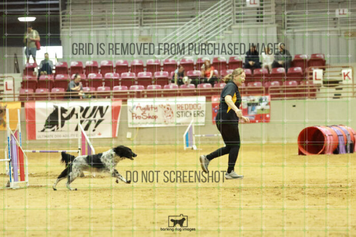 Pika_Mcelligott_Wednesday_Speedstakes_Semi_Final_168_RR_2590