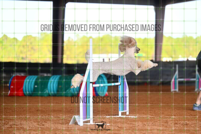 Lotti_Leitch_Friday_MastersJumpingFinal_205_LB_2926