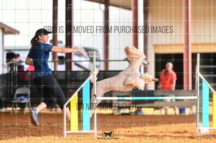 Lotti_Leitch_Friday_MastersJumpingFinal_205_LB_2929