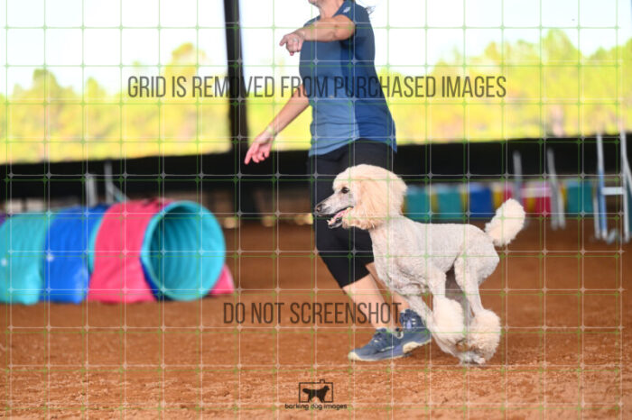 Lotti_Leitch_Friday_MastersJumpingFinal_205_LB_2942