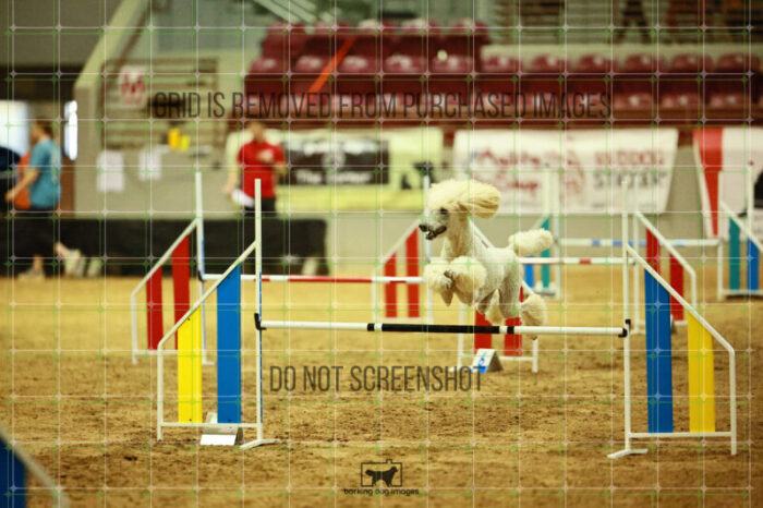 Lotti_Leitch_Ring_2_Wednesday_Biathlon_Jumping_176_SH_2798