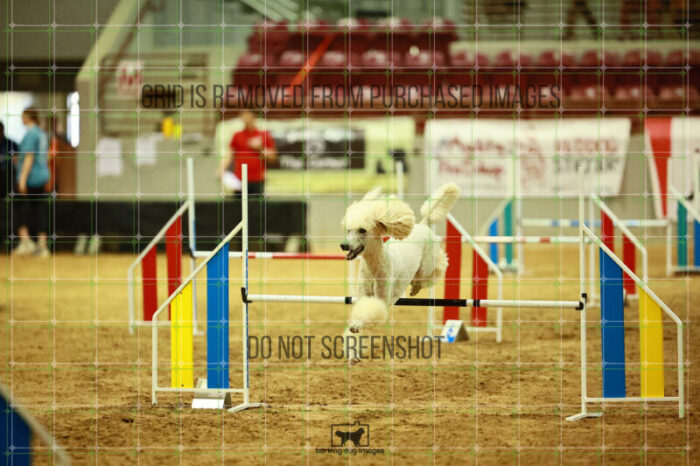 Lotti_Leitch_Ring_2_Wednesday_Biathlon_Jumping_176_SH_2800