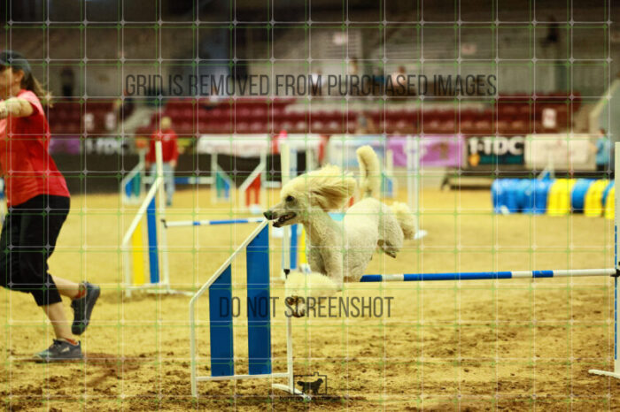 Lotti_Leitch_Ring_2_Wednesday_Biathlon_Jumping_176_SH_2805