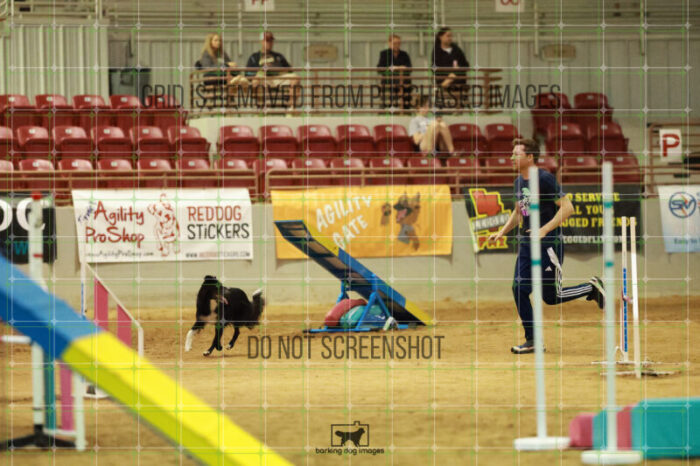 Pike_Johannes_Friday_MastersAgilityFinal_119_RR_3674