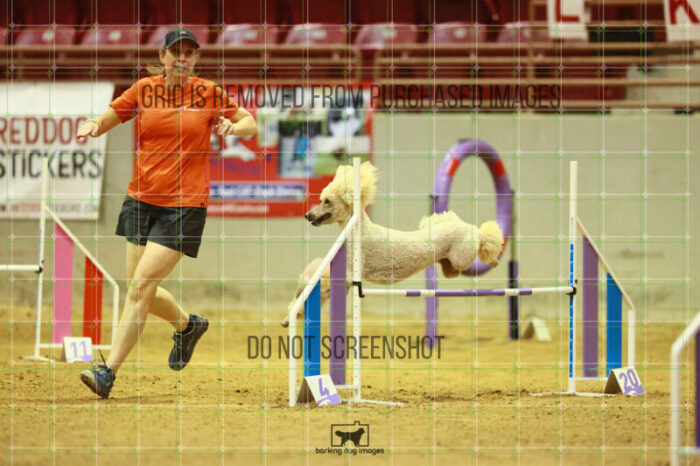 Lotti_Leitch_Saturday_OpenAgility_159_VW_2481