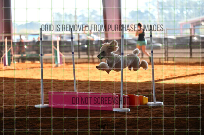 Lotti_Leitch_Saturday_WTAJumping_161_LB_1802