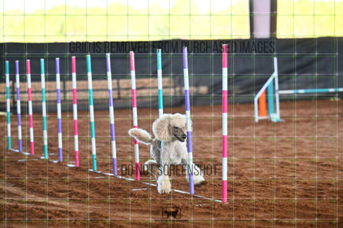 Lotti_Leitch_Saturday_WTAJumping_161_LB_1823