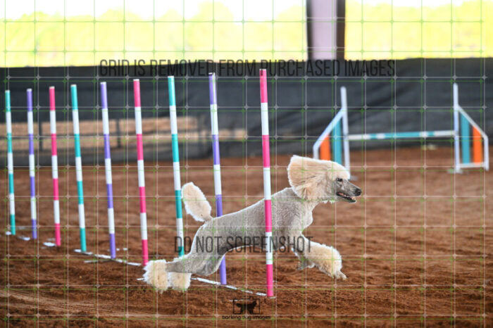 Lotti_Leitch_Saturday_WTAJumping_161_LB_1828