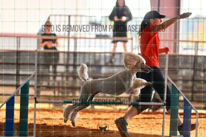 Lotti_Leitch_Saturday_WTAJumping_161_LB_1838