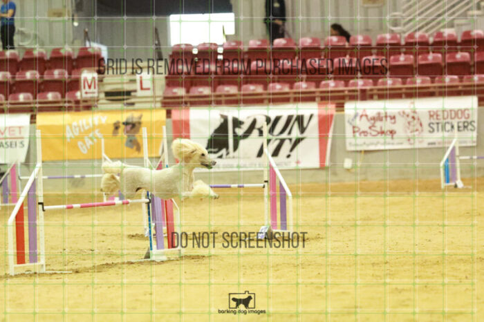 Lotti_Leitch_Wednesday_Speedstakes_Semi_Final_176_RR_2909