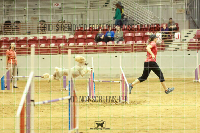 Lotti_Leitch_Wednesday_Speedstakes_Semi_Final_176_RR_2914