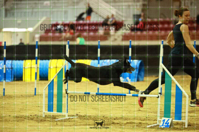 Kiwi_Kankash_Friday_Round2Jumping_155_KO_9883