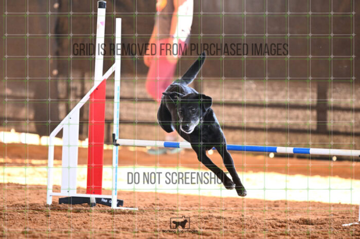 Kiwi_Kankash_Saturday_WTAJumping_241_KG_5377