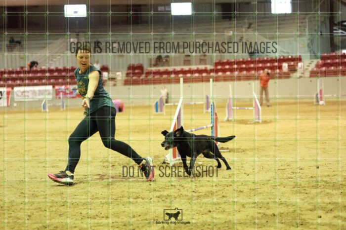 Kiwi_Kankash_Wednesday_Speedstakes_Semi_Final_199_RR_3856