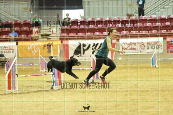 Kiwi_Kankash_Wednesday_Speedstakes_Semi_Final_199_RR_3871